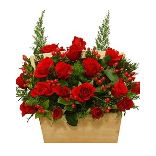 Arranged Beauty (Basic)
